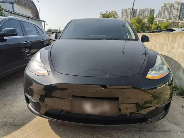 Tesla Model Y — Фото автомобиля 2