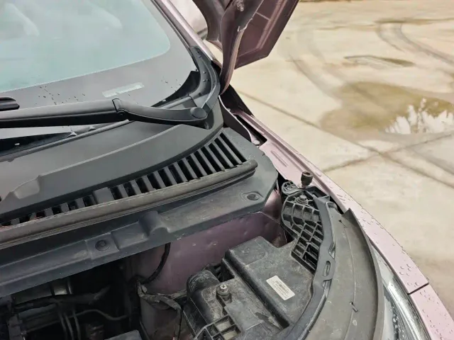 BYD Dolphin — Фото автомобиля 21