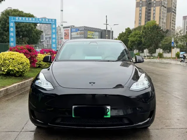 Tesla Model Y — Фото автомобиля 2