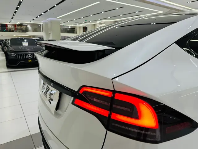 Tesla Model X — Фото автомобиля 27