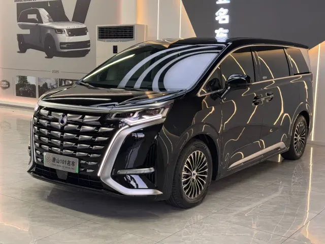 Фотография автомобиля — Denza D9