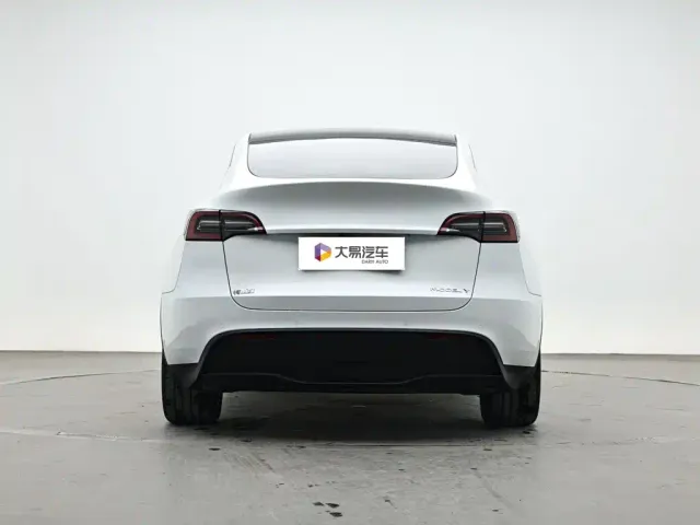 Tesla Model Y — Фото автомобиля 4