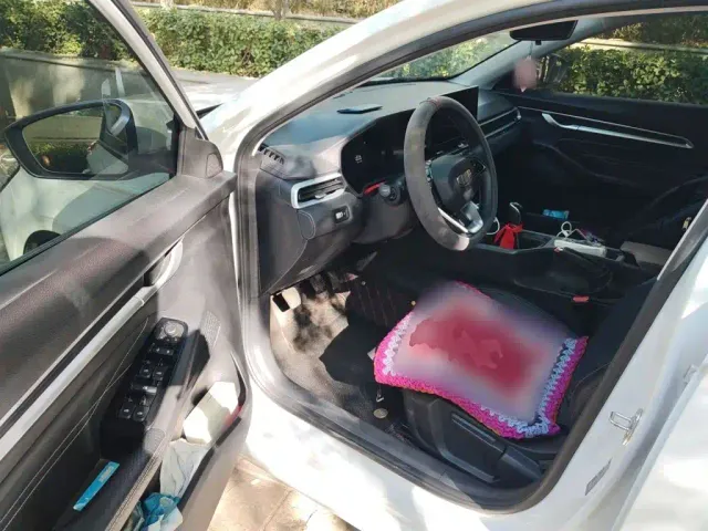 Geely Emgrand — Фото автомобиля 12