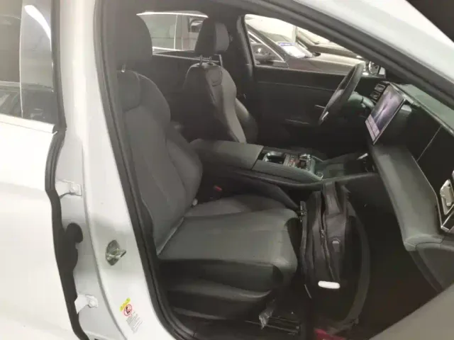 BYD Qin L — Фото автомобиля 24