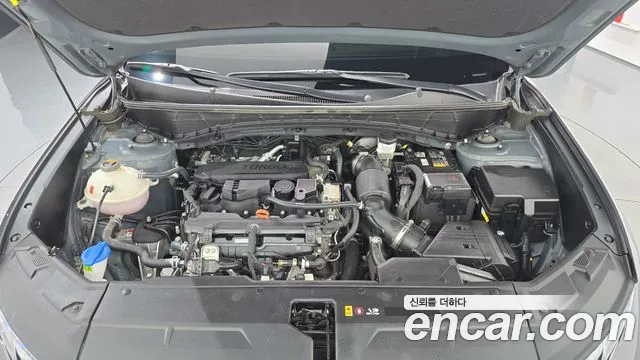 Hyundai Tucson Tucson (NX4) Бензин 1.6 турбо 2WD — Фото автомобиля 6