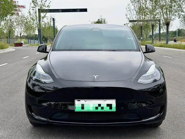 Tesla Model Y — Фото автомобиля 2