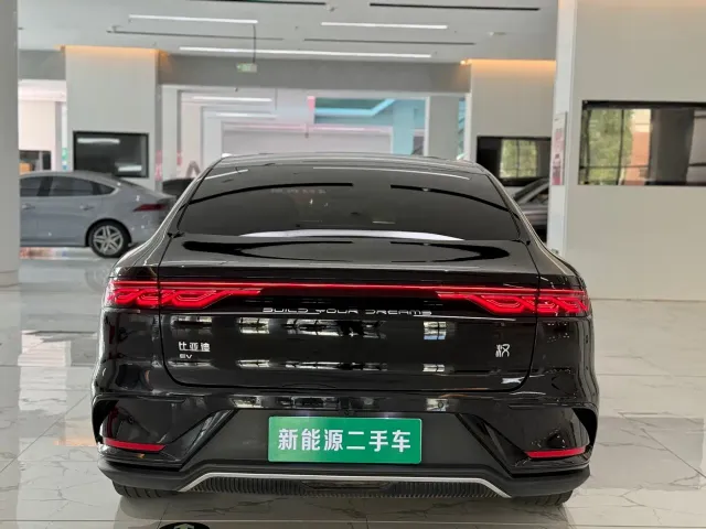 BYD Han — Фото автомобиля 9