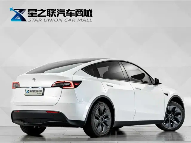 Tesla Model Y — Фото автомобиля 6
