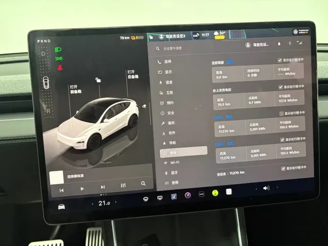 Tesla Model Y — Фото автомобиля 10