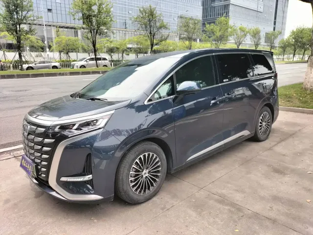 Фотография автомобиля — Denza D9