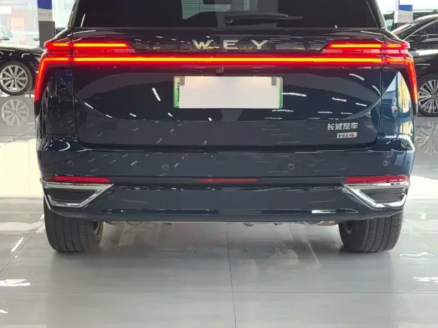 Wey Lanshan — Фото автомобиля 9