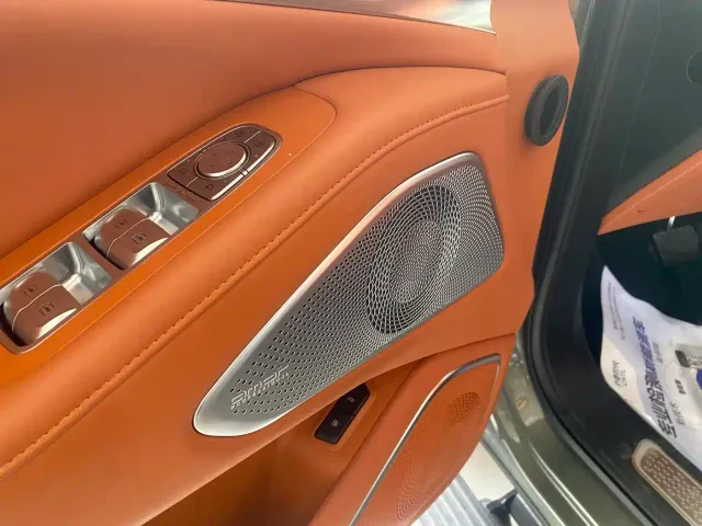 Wey Lanshan — Фото автомобиля 7