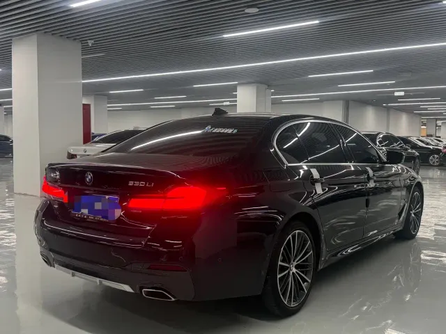 BMW 5 Series — Фото автомобиля 14