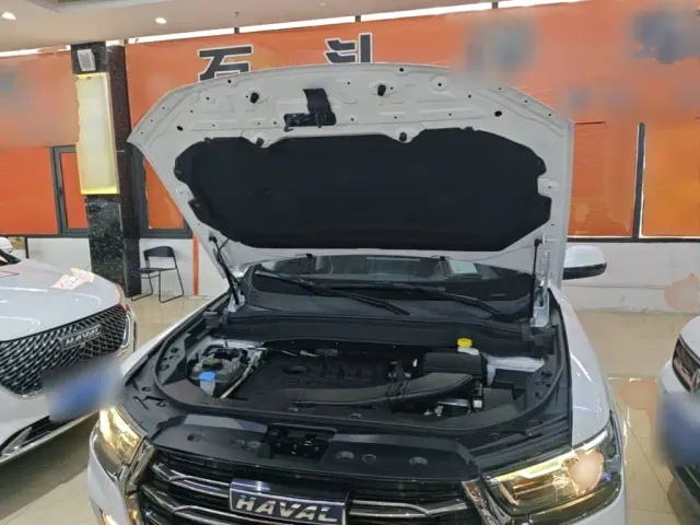 Haval H6 — Фото автомобиля 19