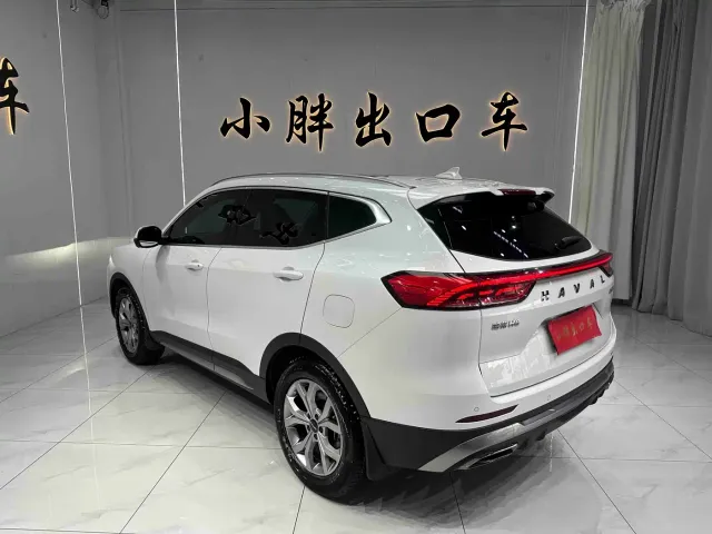 Haval H6 — Фото автомобиля 6