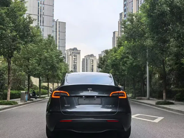 Tesla Model Y — Фото автомобиля 8