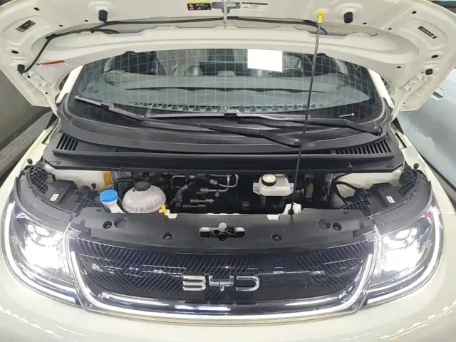 BYD Dolphin — Фото автомобиля 19
