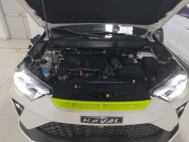 Haval H6S — Фото автомобиля 19