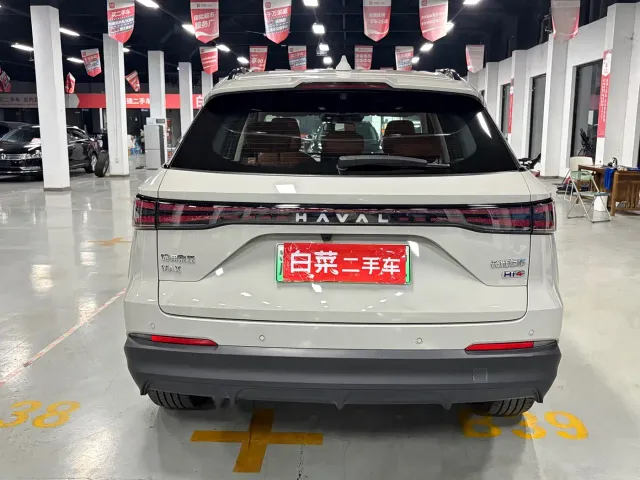 Haval Xiaolong MAX — Фото автомобиля 17