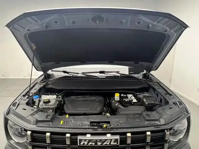 Haval Cool Dog — Фото автомобиля 15