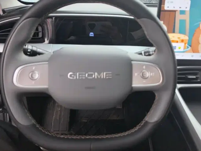 Geely Starry Wish — Фото автомобиля 14