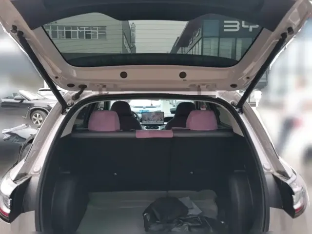 Geely Starry Wish — Фото автомобиля 9