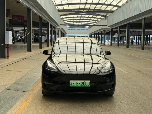 Tesla Model Y — Фото автомобиля 2