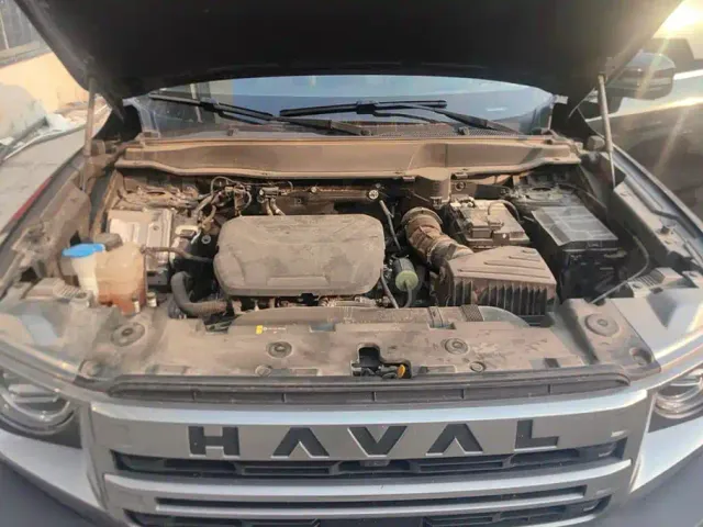Haval Big Dog — Фото автомобиля 10