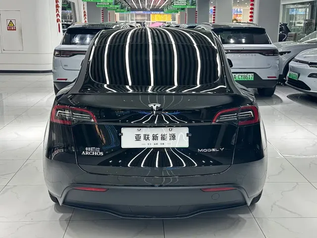 Tesla Model Y — Фото автомобиля 9