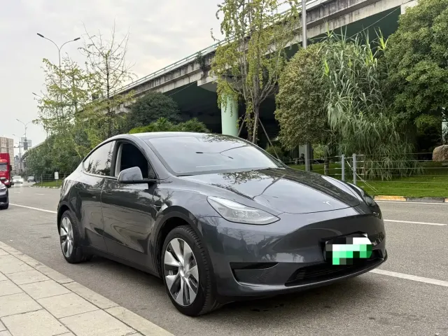Tesla Model Y — Фото автомобиля 3