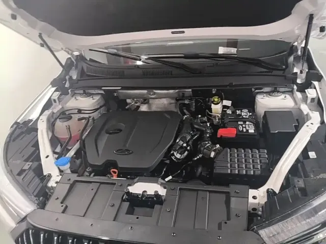 Chery Tiggo 7 PLUS 2023 Champion Edition 1.5TCI CVT Extraordinary Edition — Фото автомобиля 19