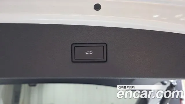 Volkswagen Tiguan Tiguan 2 поколение 2.0 TDI Premium — Фото автомобиля 17
