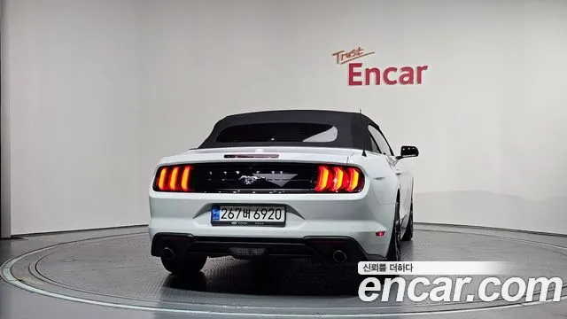 Ford Mustang Mustang Кабриолет — Фото автомобиля 4