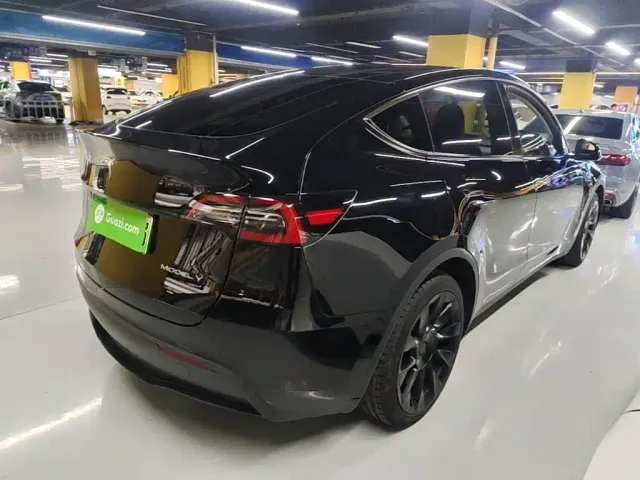 Tesla Model Y — Фото автомобиля 6