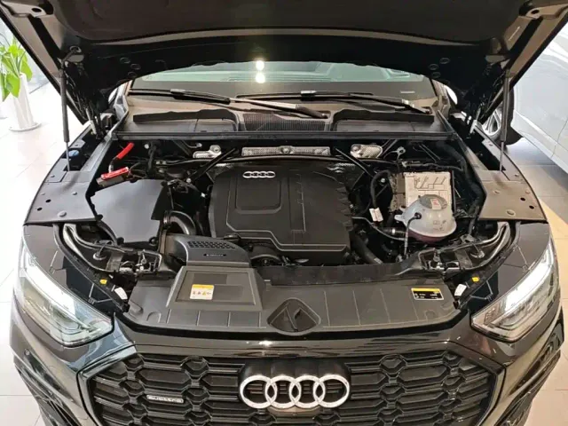 Audi Q5L — Фото автомобиля 19