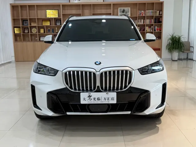 BMW X5 — Фото автомобиля 2