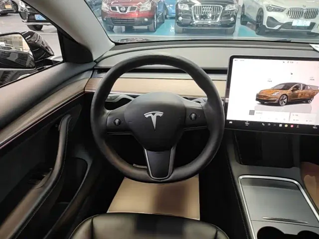 Tesla Model 3 — Фото автомобиля 10