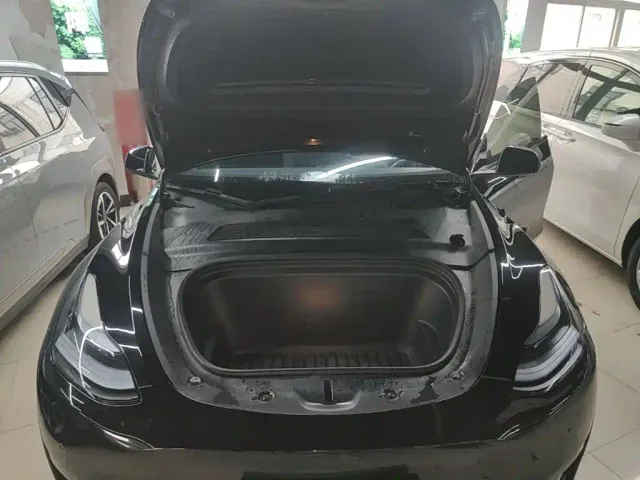 Tesla Model Y — Фото автомобиля 19
