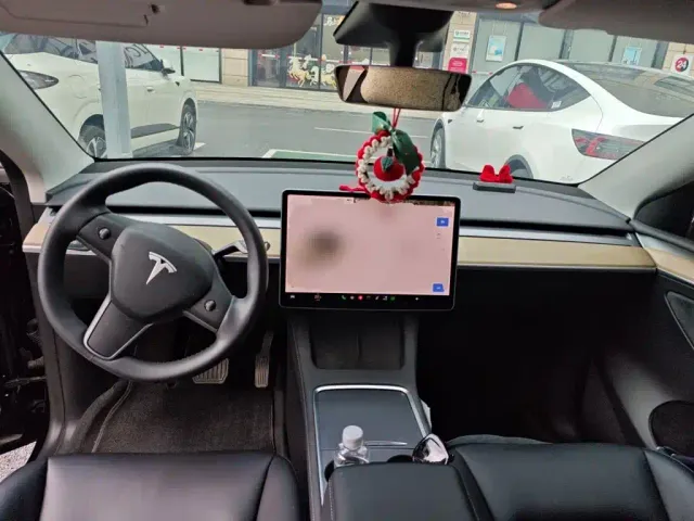 Tesla Model Y — Фото автомобиля 5