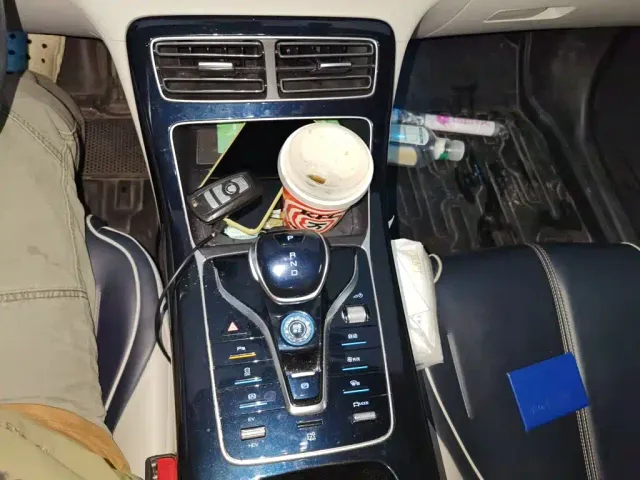 BYD Qin PLUS — Фото автомобиля 10