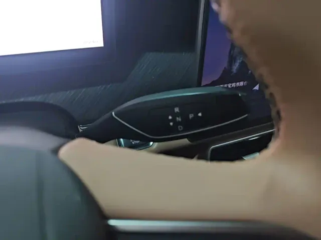 Chery Tiggo 8L — Фото автомобиля 13