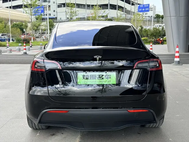 Tesla Model Y — Фото автомобиля 6