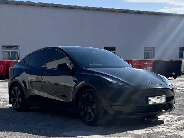 Tesla Model Y — Фото автомобиля 3