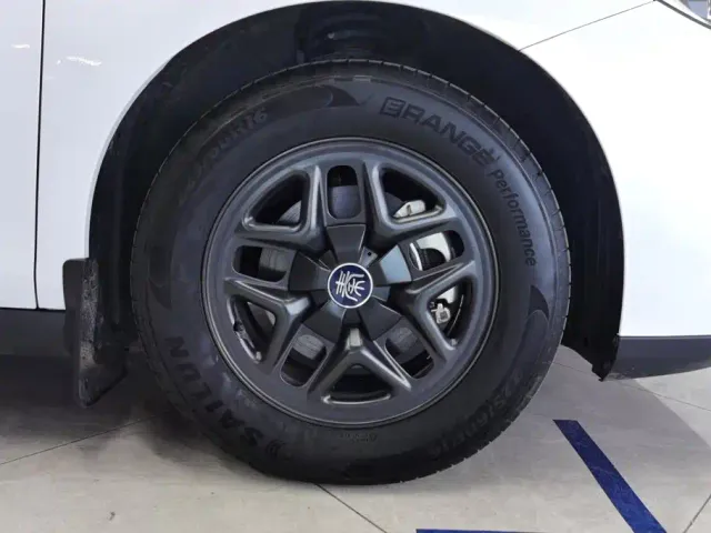 BYD Qin PLUS — Фото автомобиля 6