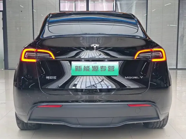 Tesla Model Y — Фото автомобиля 4