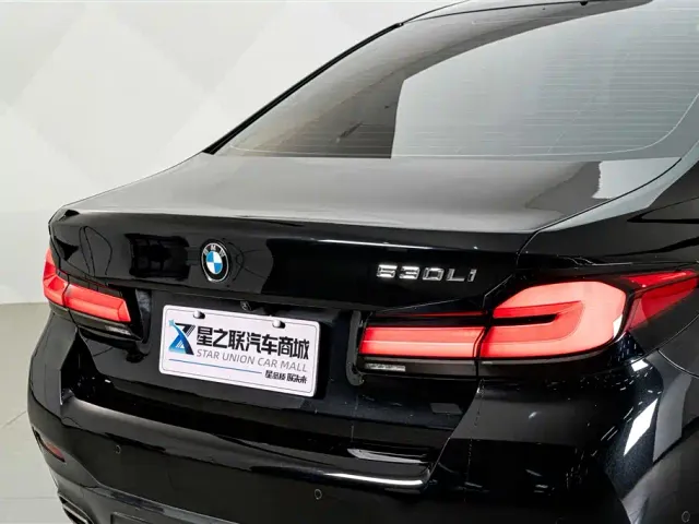 BMW 5 Series — Фото автомобиля 8