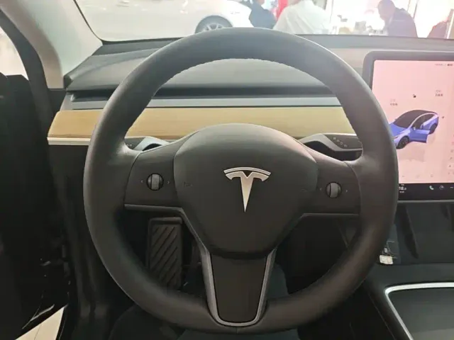 Tesla Model Y — Фото автомобиля 10