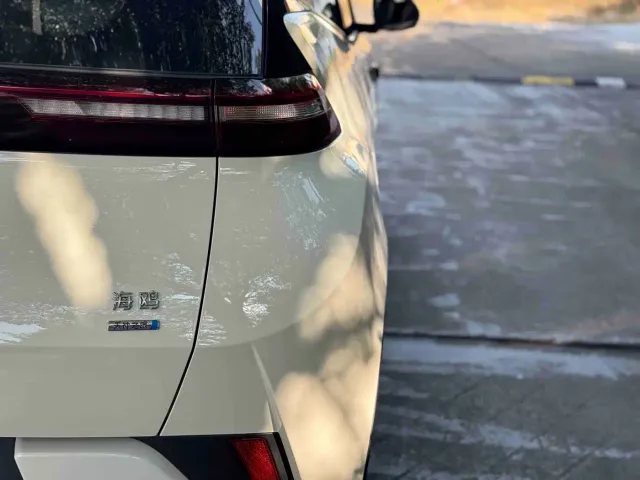 BYD Seagull — Фото автомобиля 18