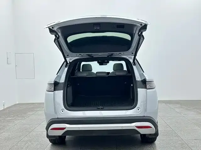 BYD Song Ultra — Фото автомобиля 15