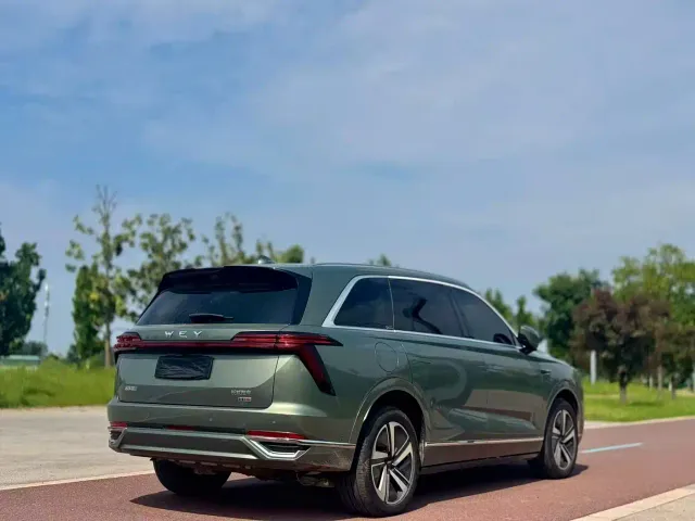 Wey Lanshan — Фото автомобиля 9